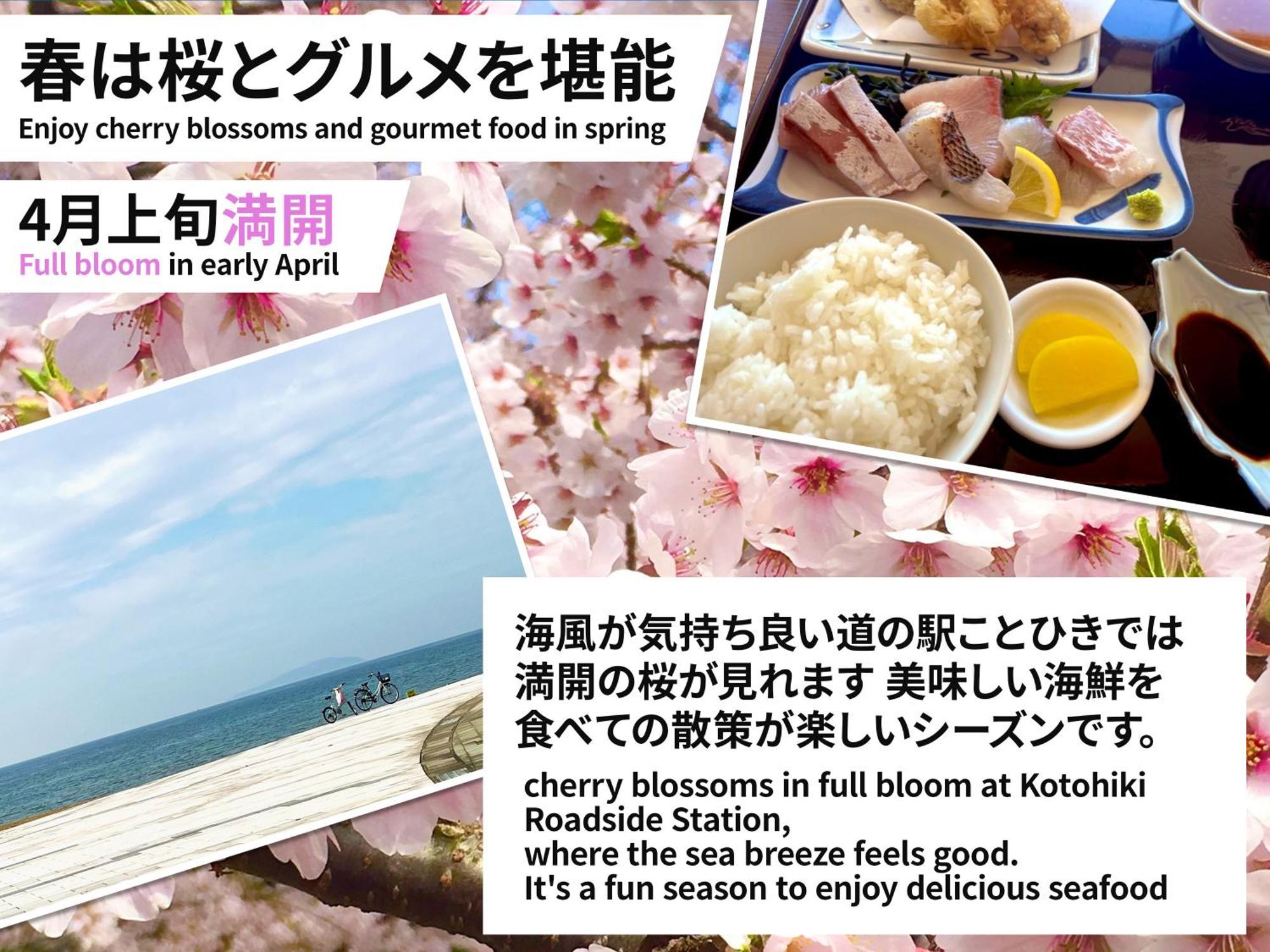 Guesthouse紫雲 Kanonji ภายนอก รูปภาพ